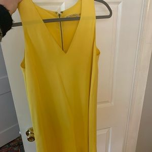 Alice and Olivia swing dress